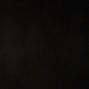 Meet your Posher, Elaina